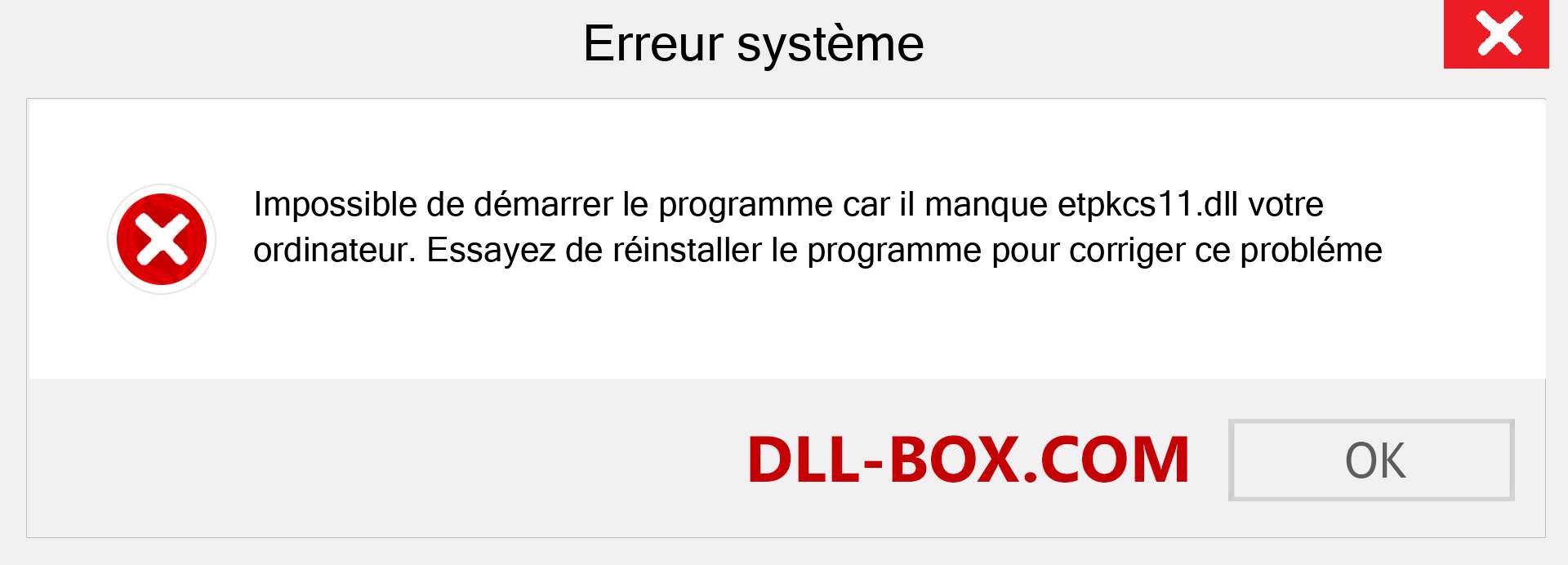 Le fichier etpkcs11.dll est manquant ?. Télécharger pour Windows 7, 8, 10 - Correction de l'erreur manquante etpkcs11 dll sur Windows, photos, images